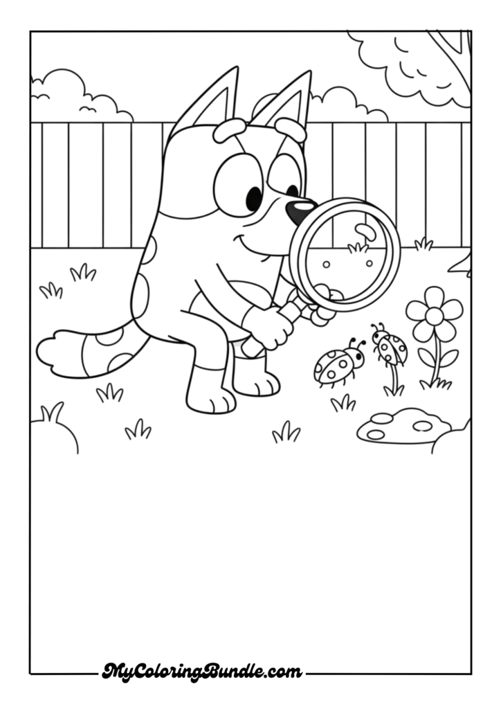 Bluey Exploring the Backyard