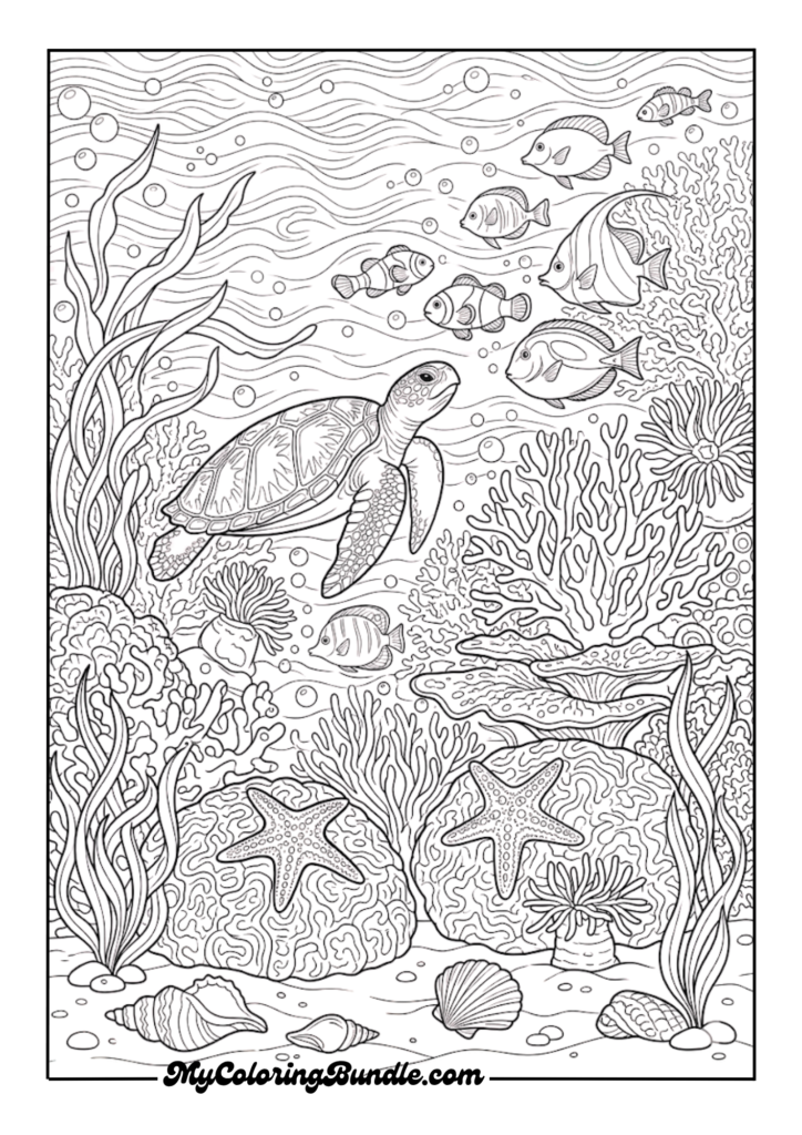 Ocean Life Coral Reef Scene